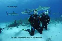 Mark and Hayley Zapczynski, newly certified divers, dive with Stuart Cove's sharks.
